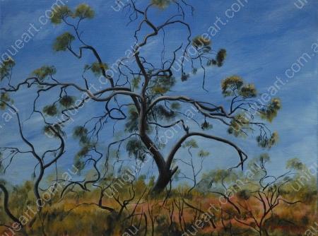 River Bank Scrub
