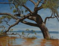 Taylors Lake In Flood (0)