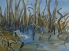 Water Birds