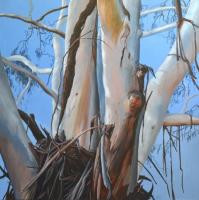 Loose Bark (2014)